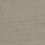 Behang Arte Wild Silk Dove Grey 86542