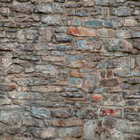 Behang Dutch Wallcoverings One Roll One Motif A51702