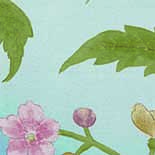 Behang Little Greene Archive Trails China Rose 1885 Blue Lustre