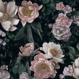 Borastapeter In Bloom New Dawn Rose 7234 Behang