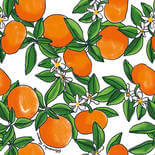 Hookedonwalls Enriquezland Tangerine 25540 Behang