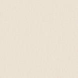 Hookedonwalls Passe Partout 2025 Plain 4423 Behang