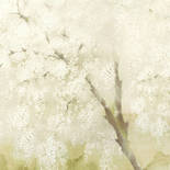 Khroma by Masureel Wall Designs II DG2ISA1033 Misaki Spring Behang