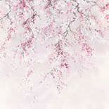 Komar Ink Kirschbluten INX6-013 Behang