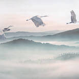 Komar Ink Mystic Cranes INX8-083 Behang