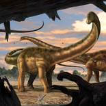 Komar Into Adventure National Geographic Seismosaurus IANGX5-011 Behang