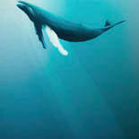 Komar Into Adventure Whale IAX4-0045 Behang
