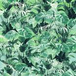 Komar Pure Evergreen P023-VD2 Behang