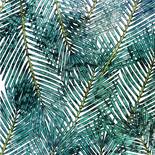 Komar Pure Palm Canopy P025-VD2 Behang
