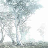 Komar Raw Magic Trees R3-023 Behang