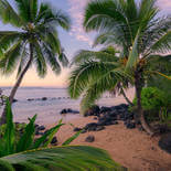 Komar Stefan Hefele 2 Hawaiian Dreams SHX9-116 Behang