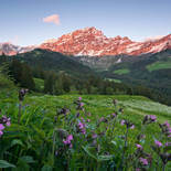 Komar Stefan Hefele 2 Picturesque Switzerland SHX9-069 Behang