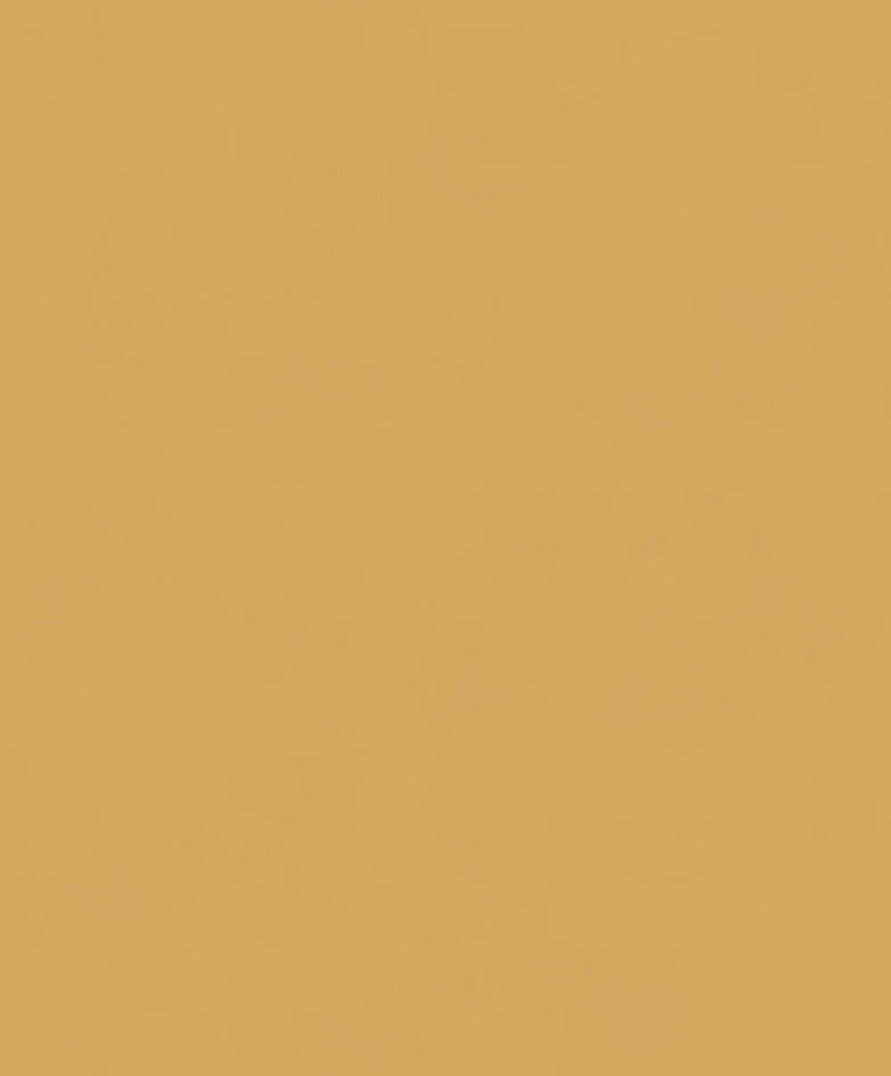 Masureel The Colour Book BLONE1011 Color Gold Behang 1