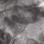 Masureel Wall Designs IV DG4PAR1012-300 Park Grafit Behang