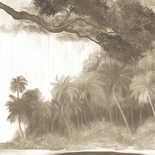 Masureel Wall Designs IV DG4TOU1012-300 Toucan Sepia Behang