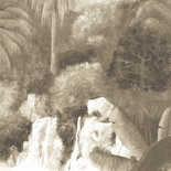 Masureel Wall Designs IV DG4TOU1014-260 Toucan Sepia Behang