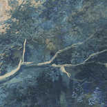 Masureel Wall Designs IV DG4WOO1014-260 Wood Blue Behang