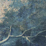 Masureel Wall Designs IV DG4WOO1014-300 Wood Blue Behang