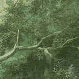 Masureel Wall Designs IV DG4WOO1024-260 Wood Green Behang