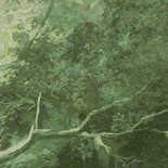 Masureel Wall Designs IV DG4WOO1024-300 Wood Green Behang